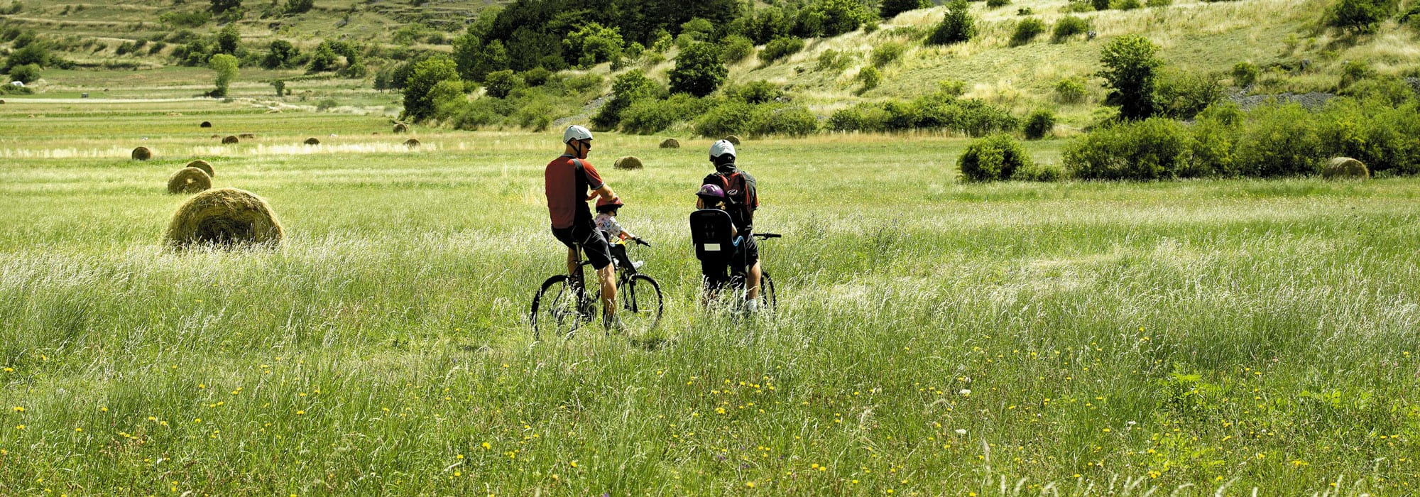 rent-a-bike-matera