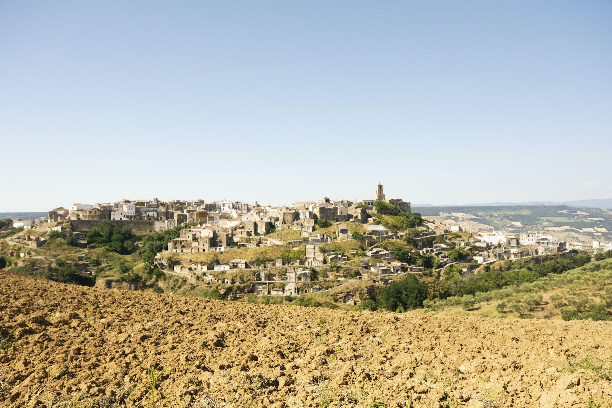 Olio Vino Esperienze Grottole Matera